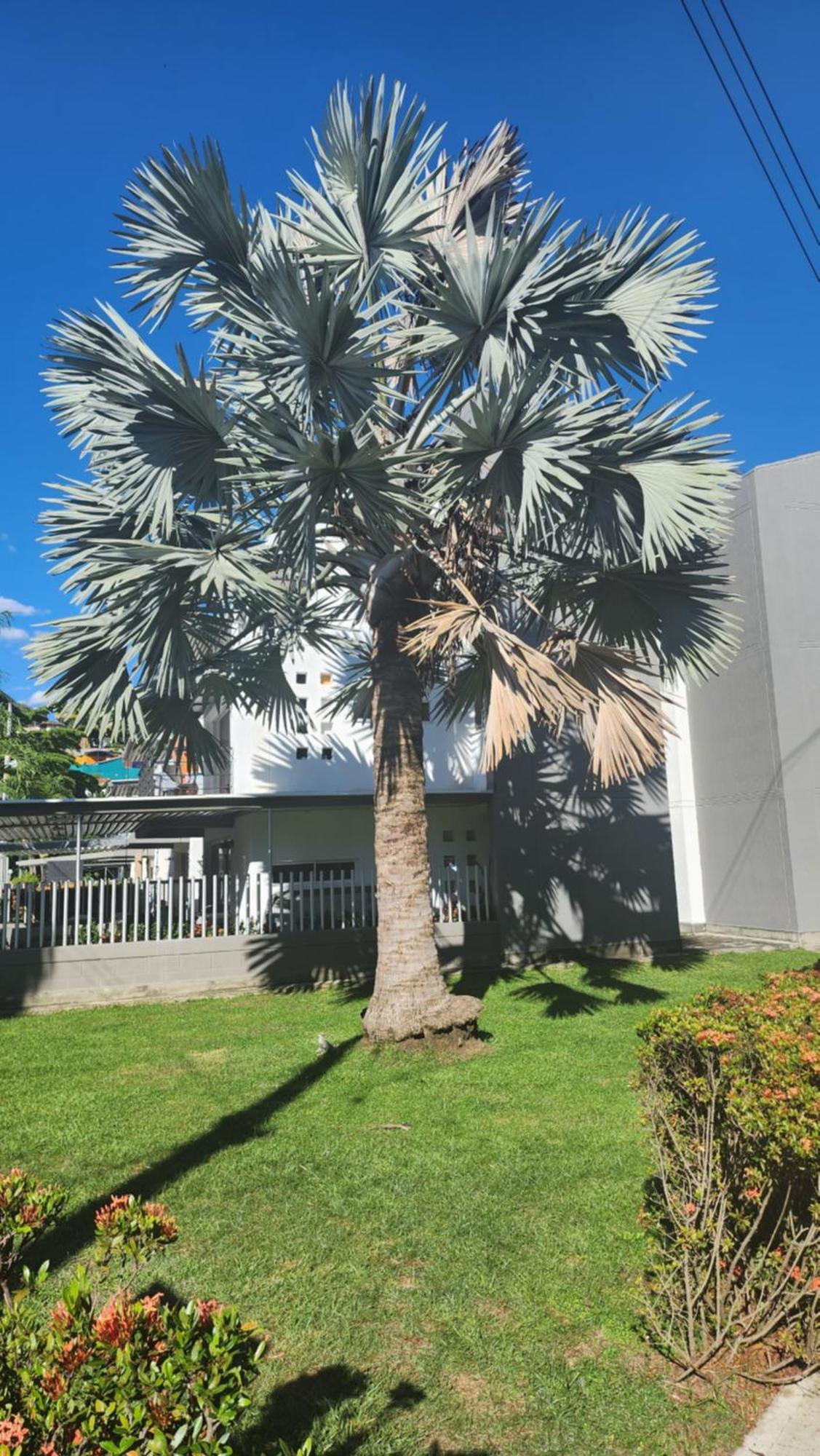 Apartasol Club Ciudadela Santa Fe - Santa Fe De Antioquia Dış mekan fotoğraf